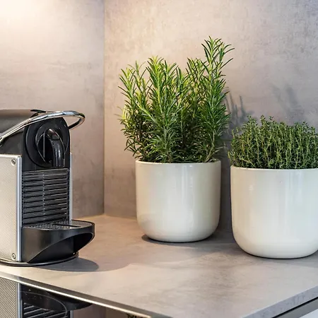 Jenseits Von Eden * 빈츠